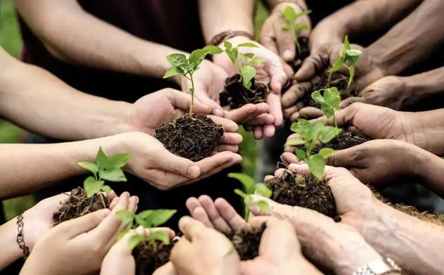 Kiểm toán môi trường: Thu hẹp khoảng cách thực thi, hướng đến phát triển bền vững